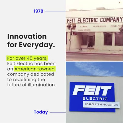 Feit Electric A19 100W LED Dimmable Bulbs