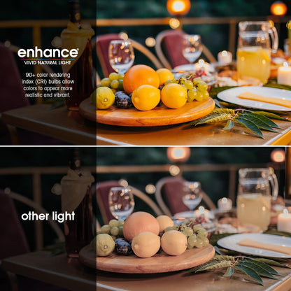 Feit Electric A19 100W LED Dimmable Bulbs