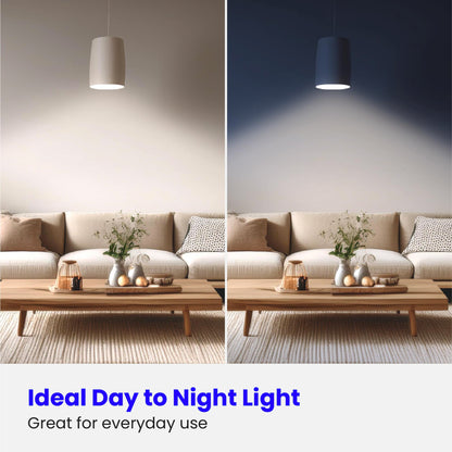 Feit Electric A19 100W LED Dimmable Bulbs