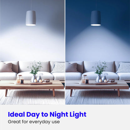 Feit Electric A19 100W LED Dimmable Bulbs