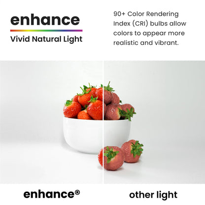 Feit Electric A19 100W LED Dimmable Bulbs