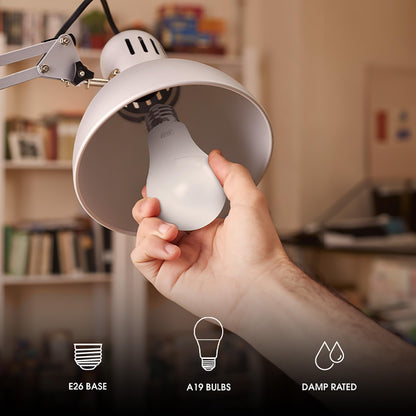Feit Electric A19 100W LED Dimmable Bulbs