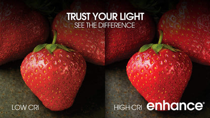 Feit Electric A19 100W LED Dimmable Bulbs