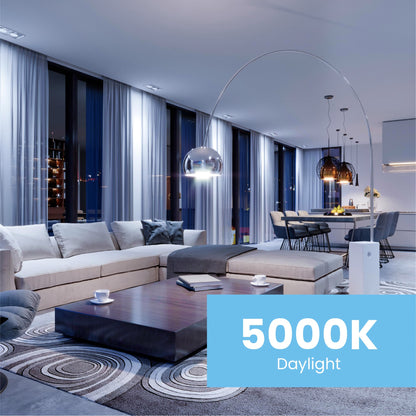 Feit Electric A19 100W LED Dimmable Bulbs