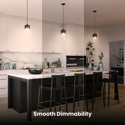 Feit Electric A19 100W LED Dimmable Bulbs